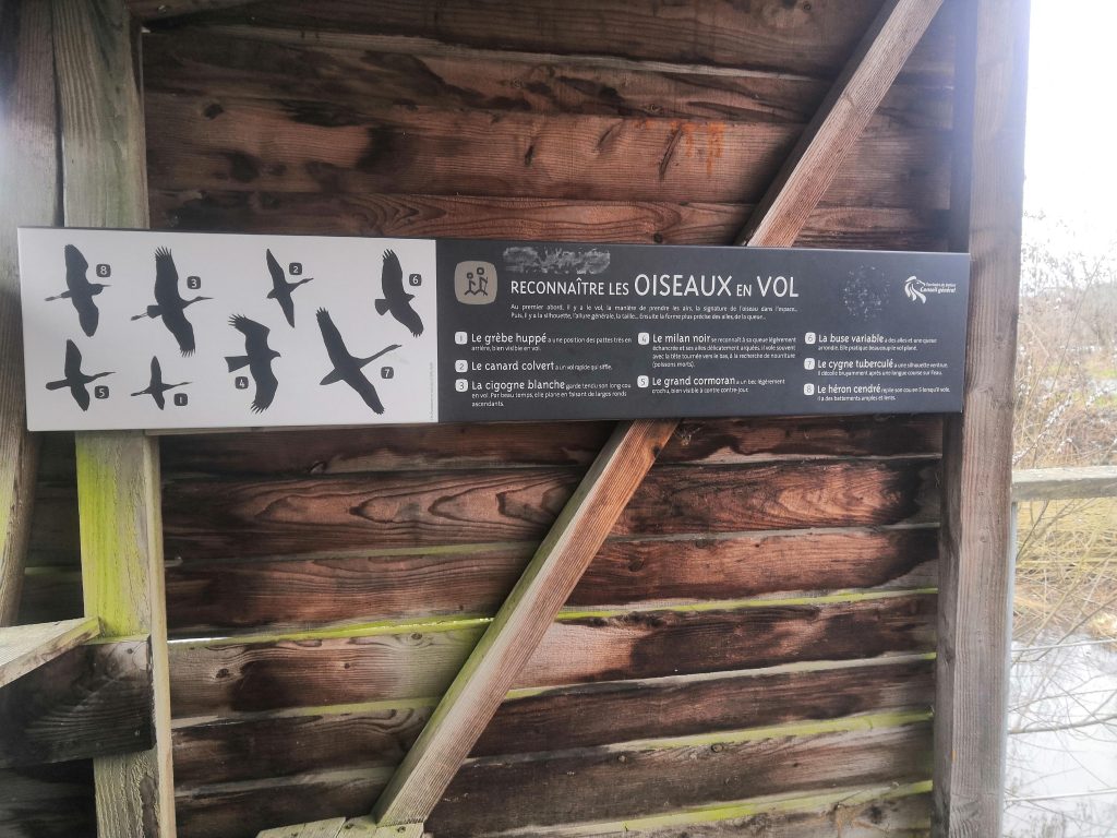 Observatoire aux oiseaux au lac de Malsaucy à Belfort