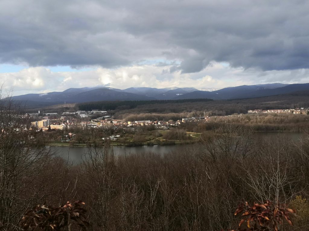 Vue sur l'étang des Forges
