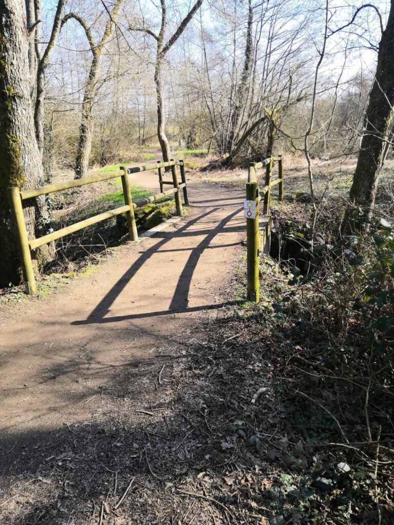 sur-le-parcours-belfort
