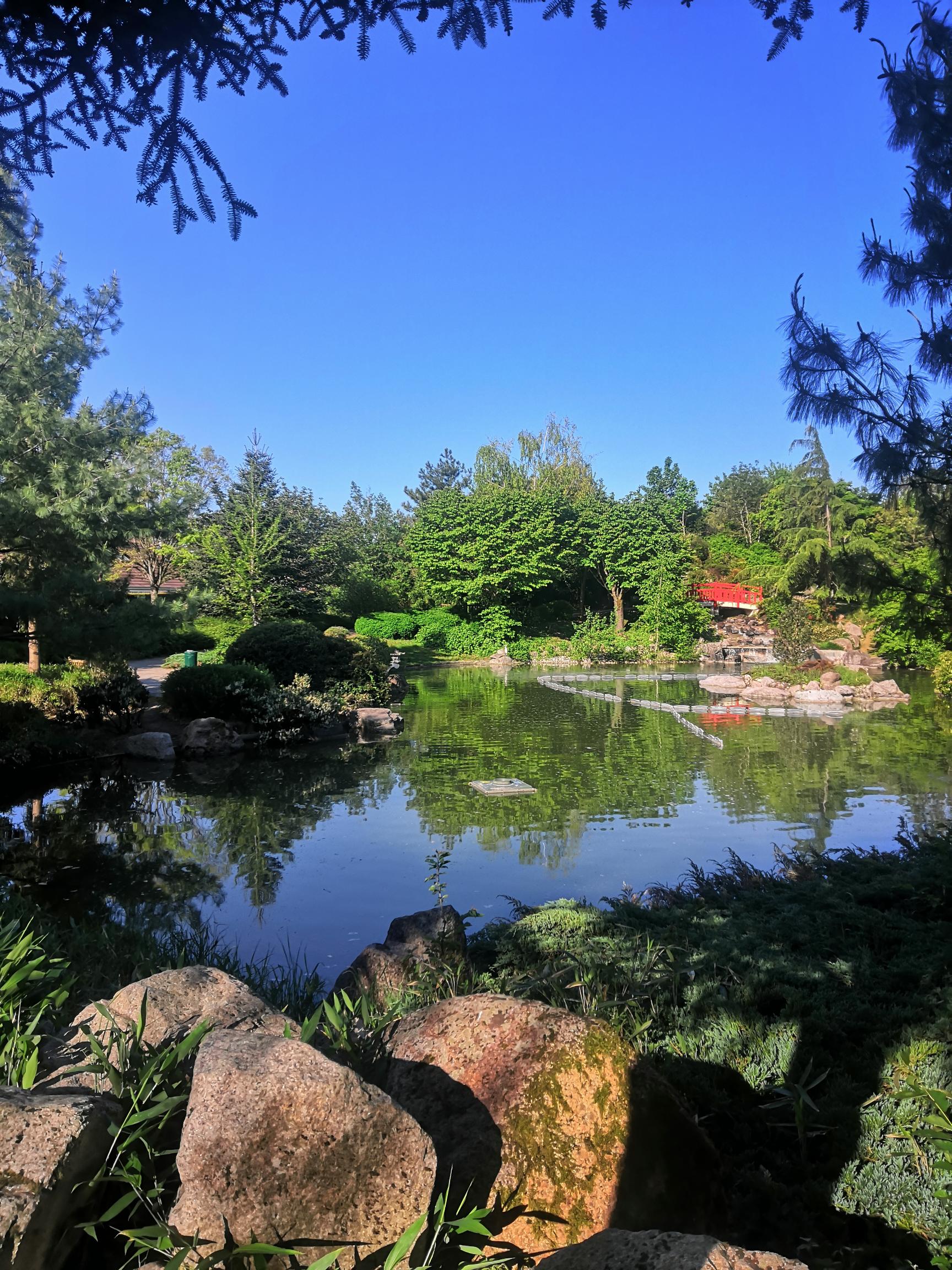 les plus beaux coin nature à Dijon - le parc japonais