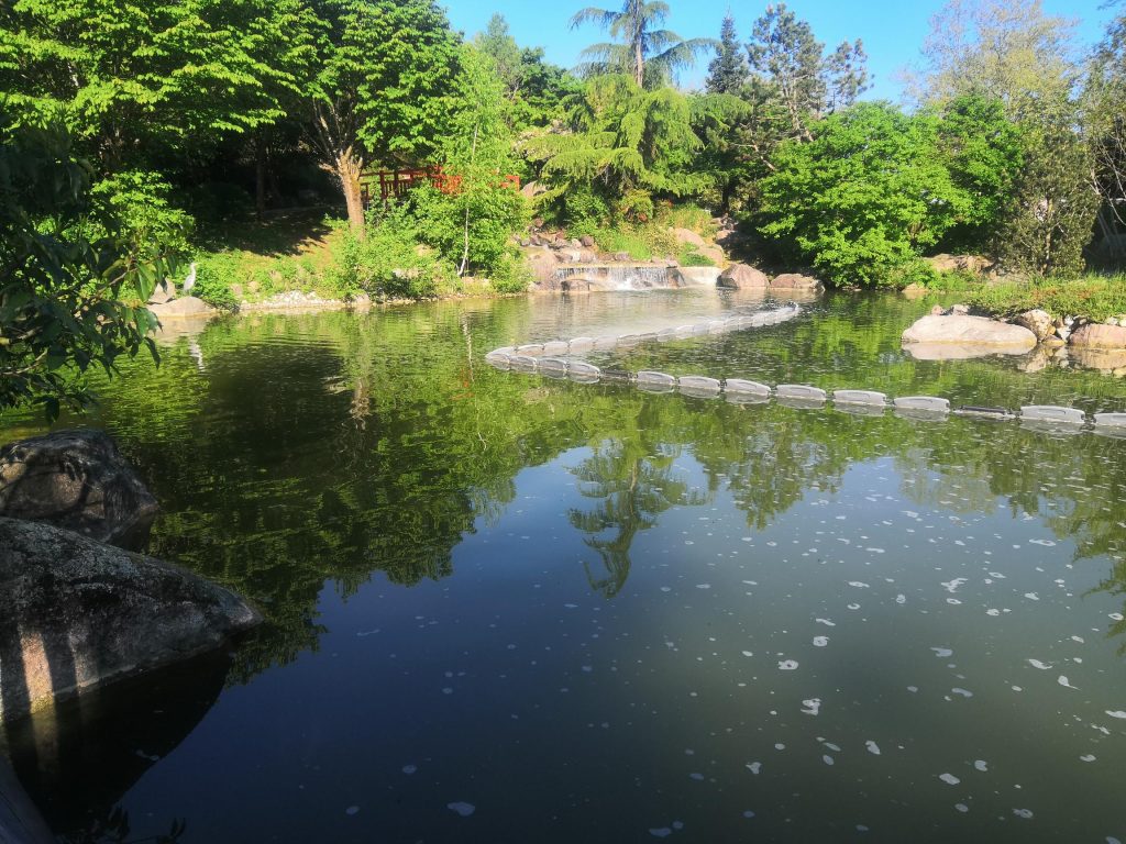 visiter_dijon_parc_jardin_japonais
