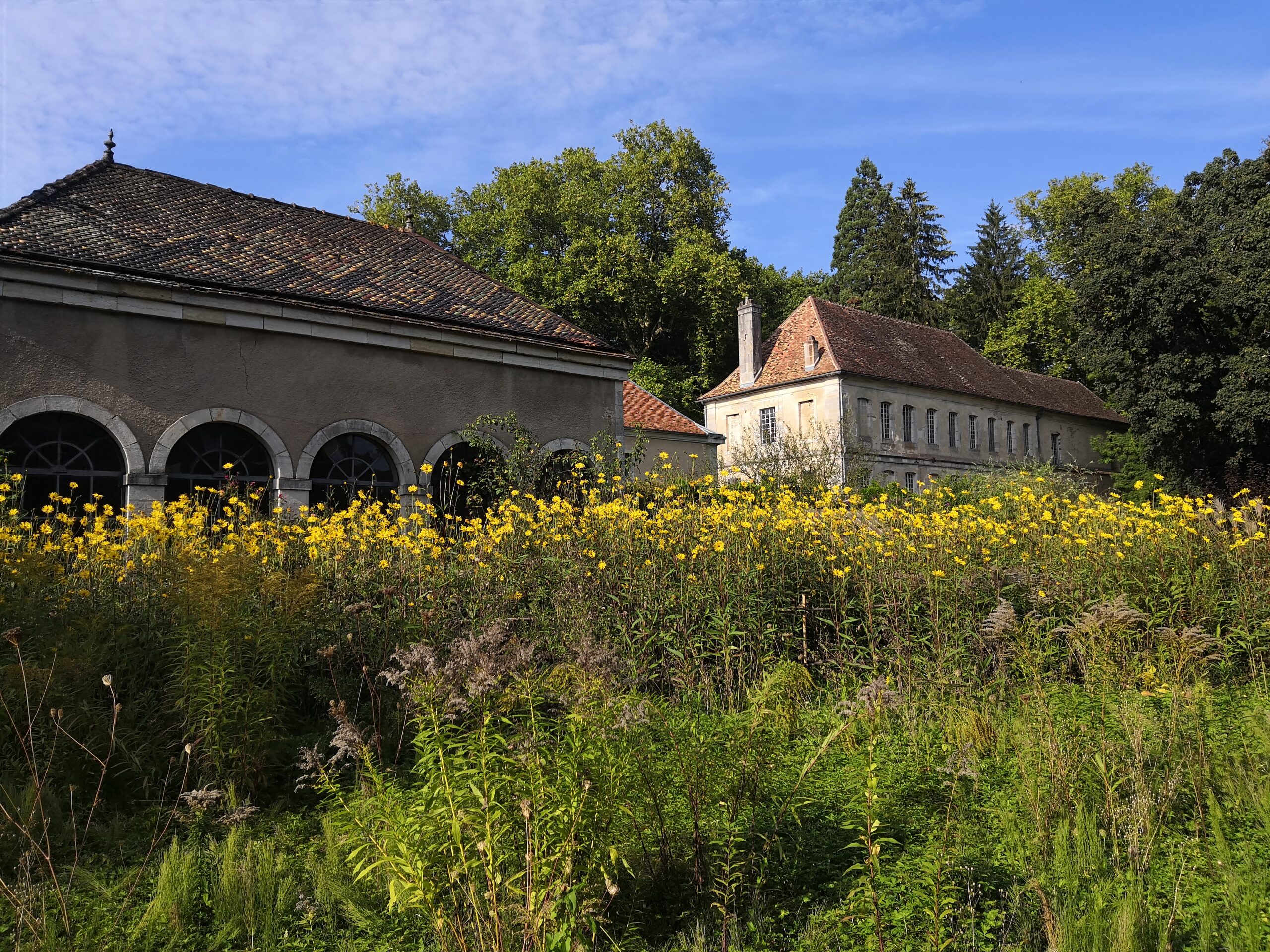 Abbaye de Bèze en Bourgogne