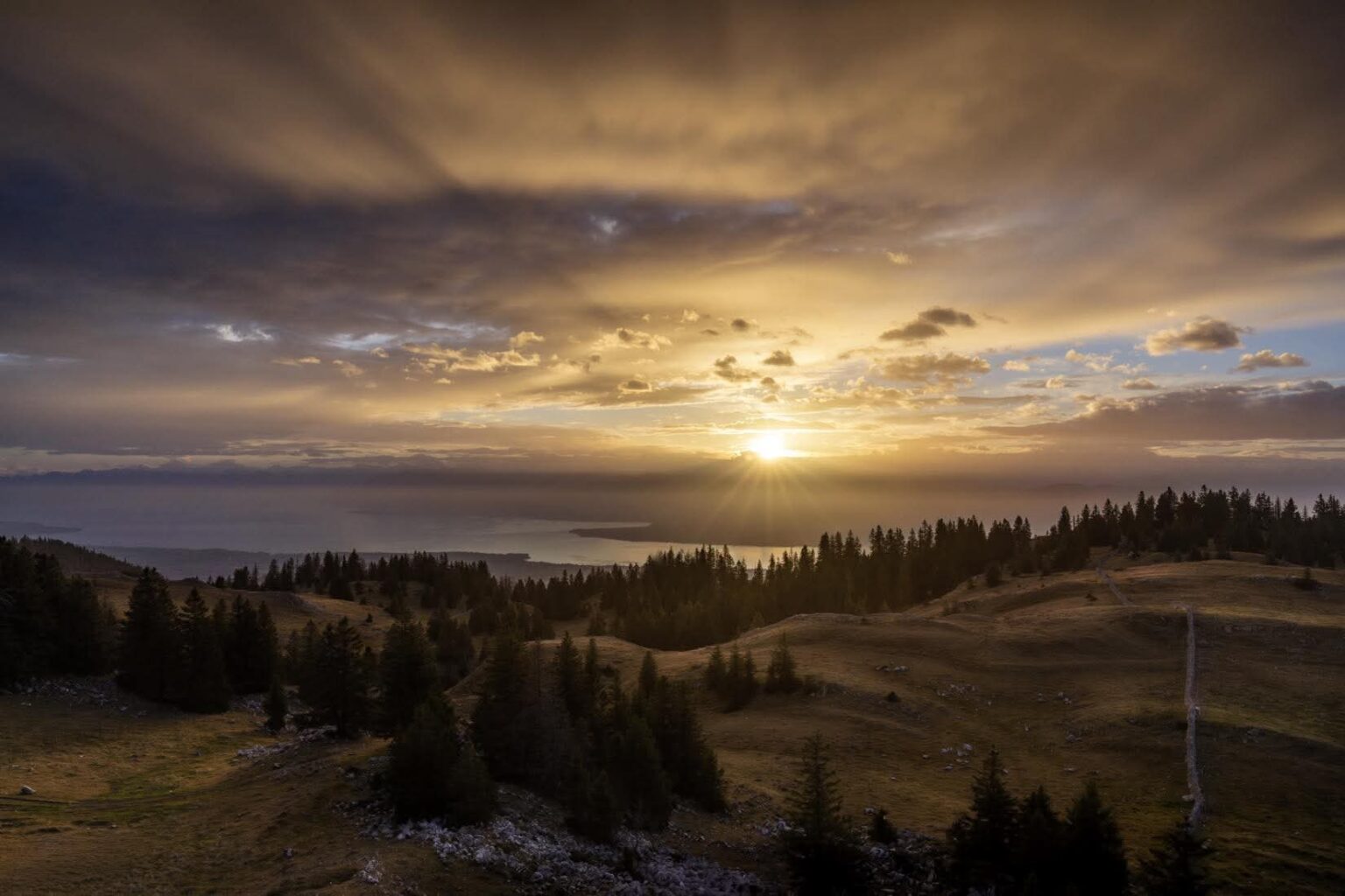 paysage vallonné avec sapins et coucher de soleil dans le Morvan