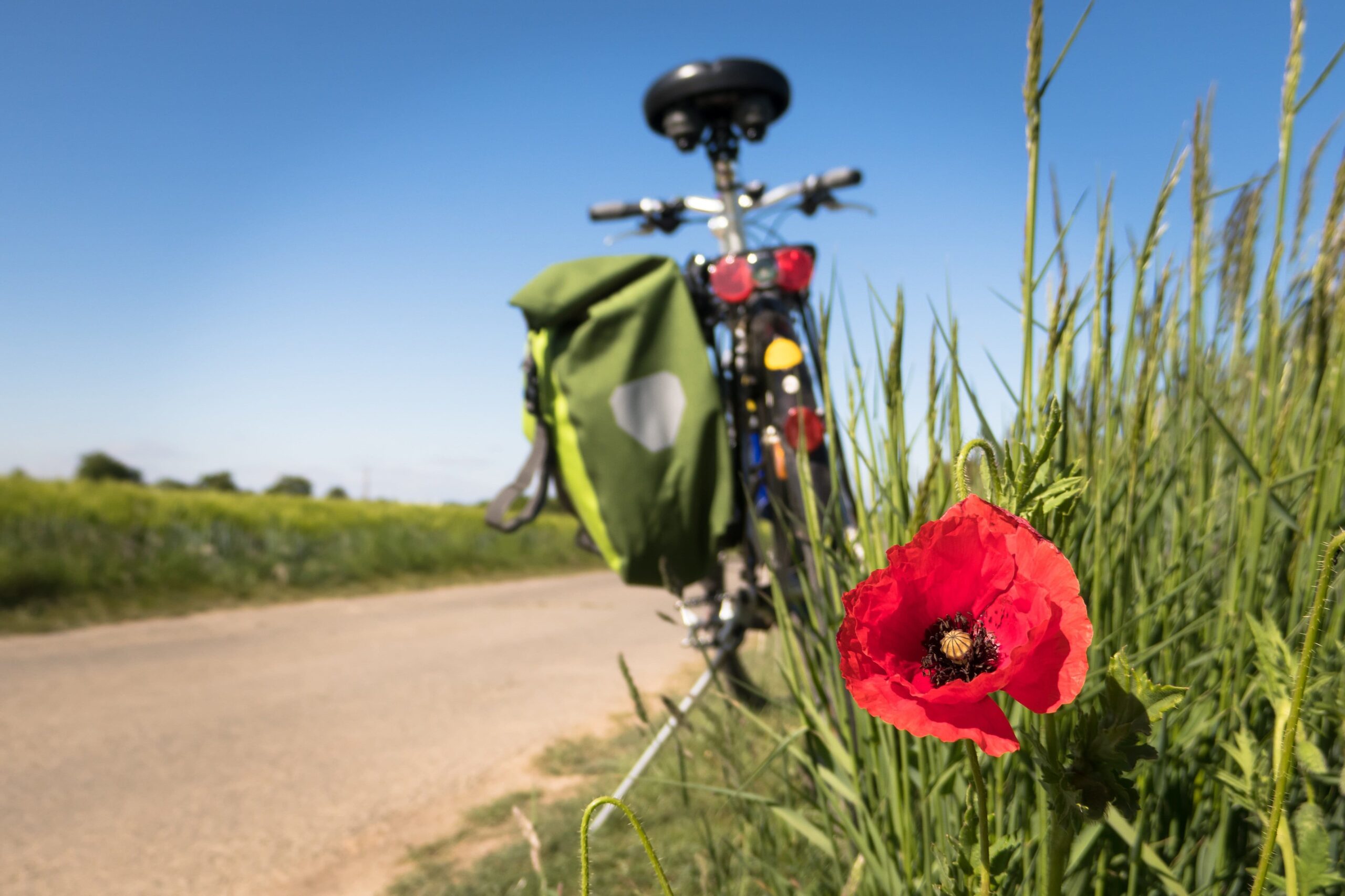 vélo sur bord de route en Bourgogne-Franche-Comté